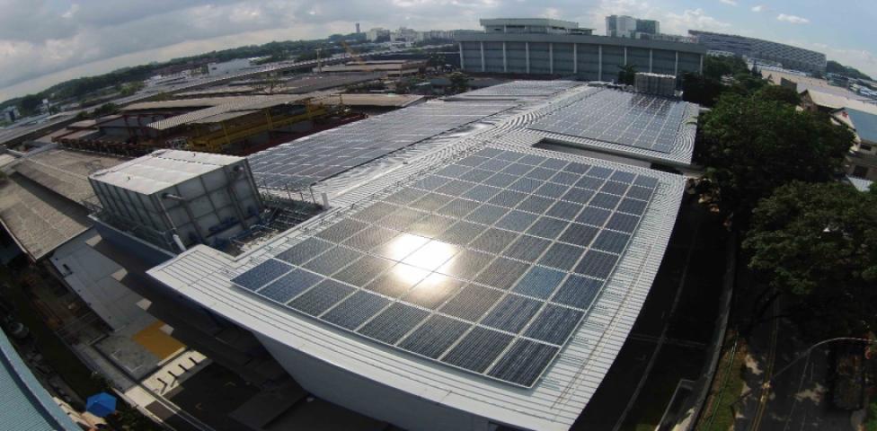 Red Dot Renergy PTE LTD