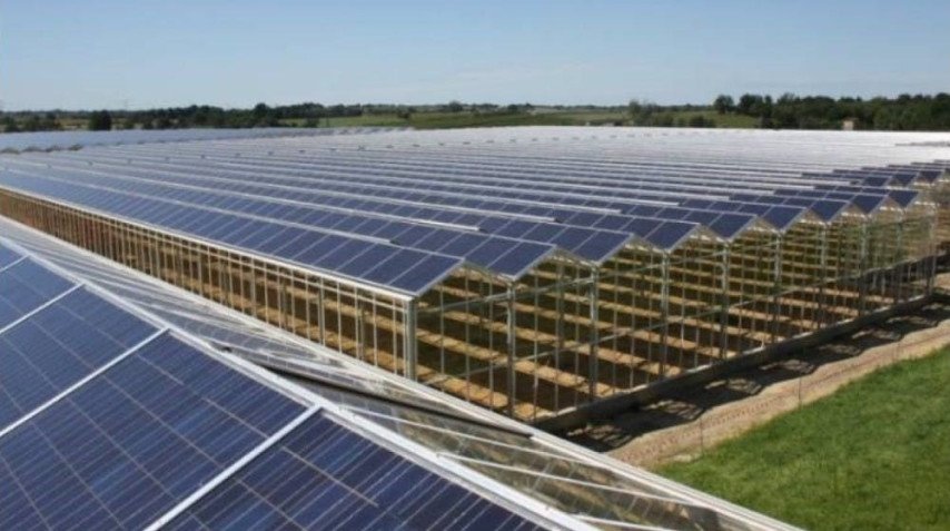 Horti Energy B.V.